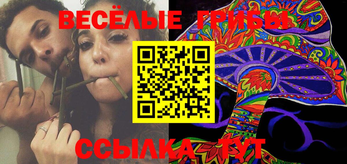 Галлюциногенные грибы Psilocybine cubensis  купить наркотики цена  Заринск  Вход с VPN  Псилоцибиновые грибы Cubensis 