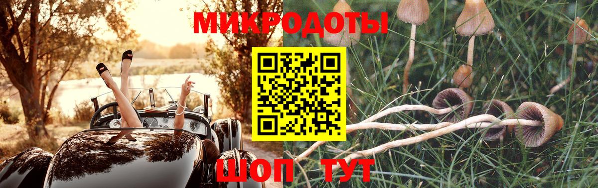 Галлюциногенные грибы мухоморы Заринск