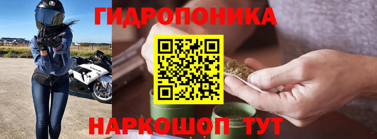 Марихуана сатива Заринск